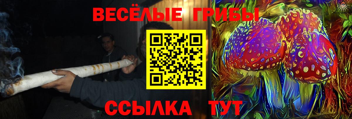 Псилоцибиновые грибы Magic Shrooms Новоалександровск