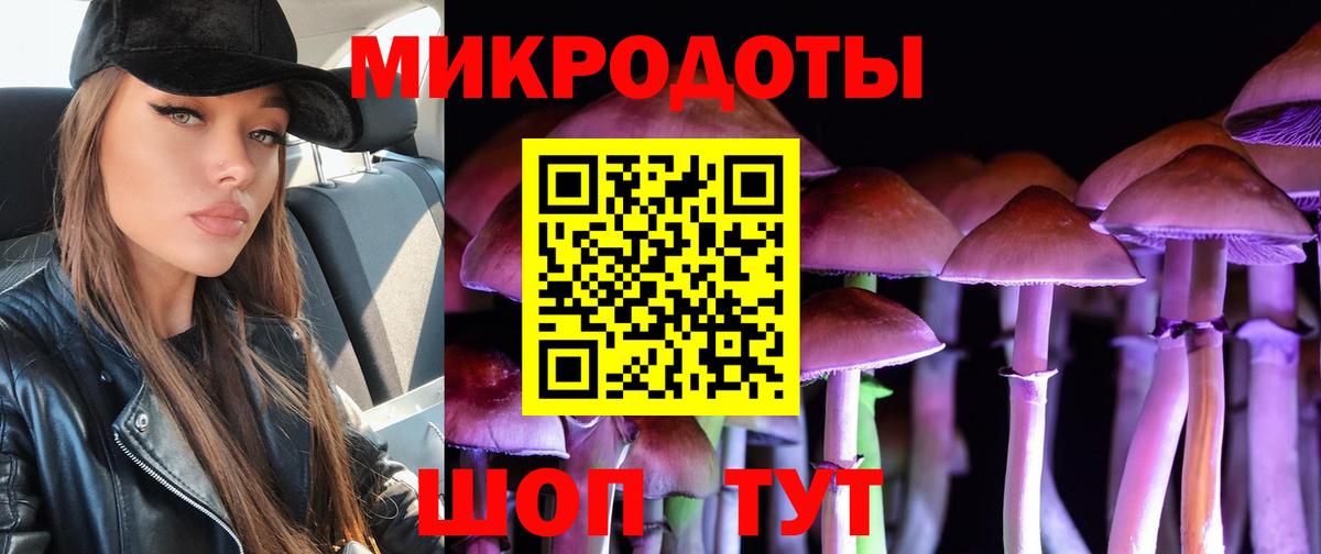 Новоалександровск  Галлюциногенные грибы Cubensis  Псилоцибиновые грибы мицелий  Вход с VPN 